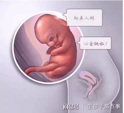 林院长